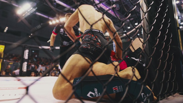 To będzie dzień pełen walk. 15. mistrzostwa MMA już niedługo w Warszawie