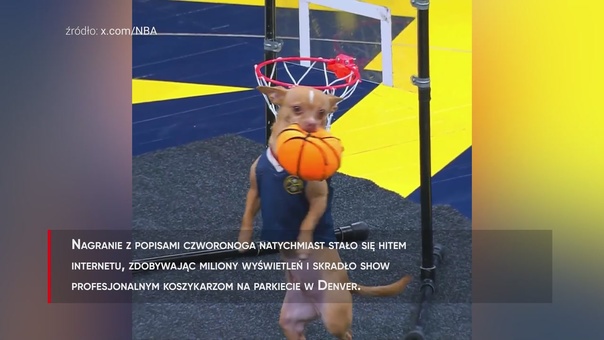 #dziejesiewsporcie: Ten "wsad" przejdzie do historii. Urocze sceny na meczu NBA