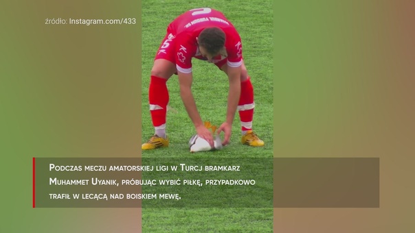 #dziejesiewsporcie: Sceny na meczu. Piłkarz uratował rannego ptaka