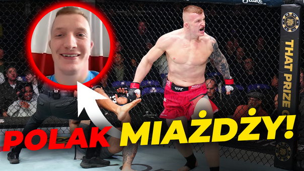Polak miażdży. Amerykański sen trwa