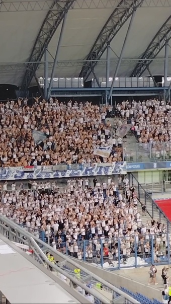 Poznań w szoku, a oni w euforii. Tak bawili się kibice z Danii